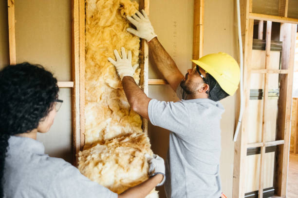 Types of Insulation We Offer in Capitol Heights, MD